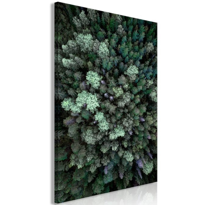 Tavla Arkiio Flying Over Forest