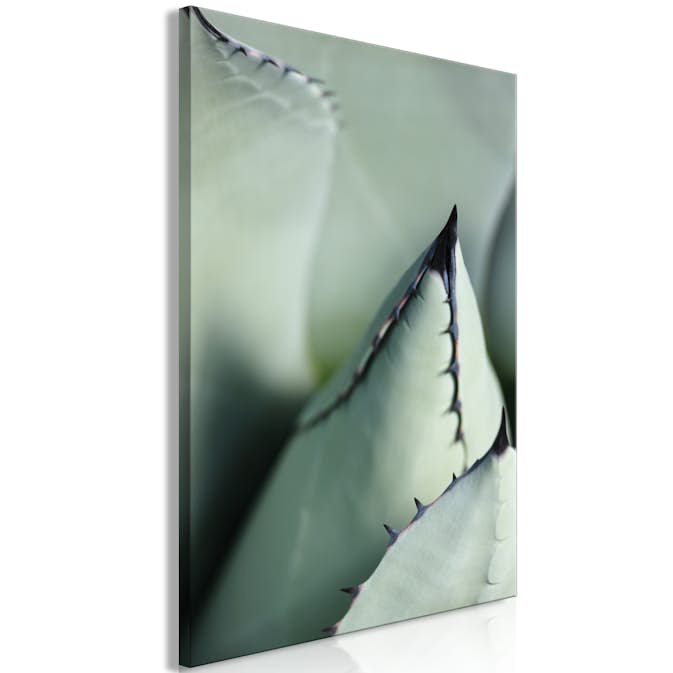 Tavla Arkiio Green Spikes
