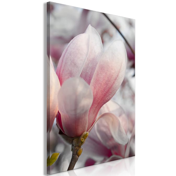 Tavla Arkiio Herald of Spring