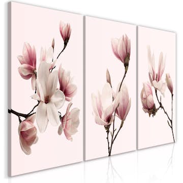 Tavla Arkiio Spring Magnolias (3 Parts)