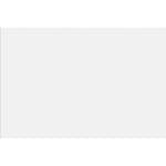 Kakel Netto Ceramika Blanco Brillo 20x30 cm