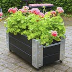 Blomlåda PLUS Cubic 87x50x45 cm