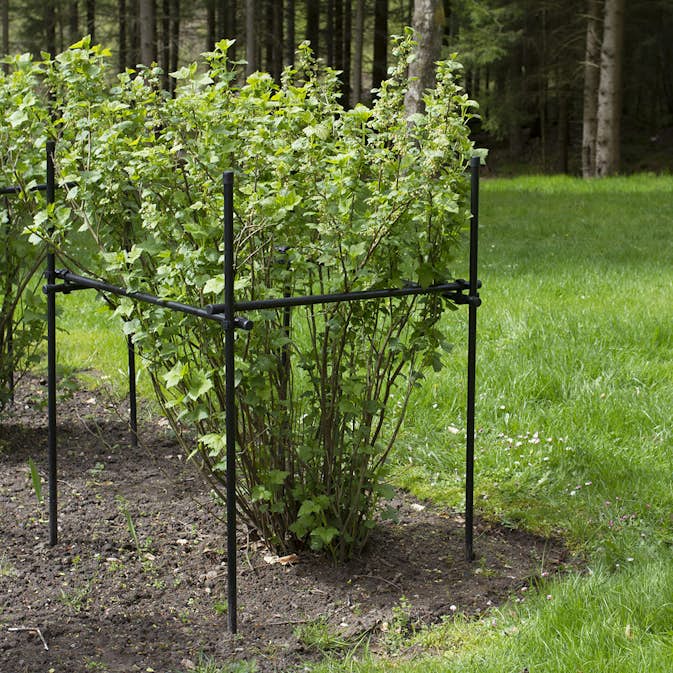 Buskstöd Flexigarden
