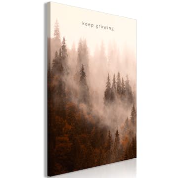 Tavla Arkiio Keep Growing