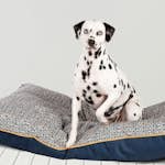 Hundbädd Danish design Geo Bee