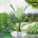 Dadelpalm Omnia Garden