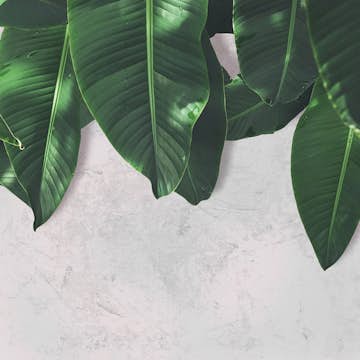 Fototapet Living Walls Designwalls DD118546