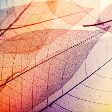 Fototapet Living Walls Designwalls DD118586