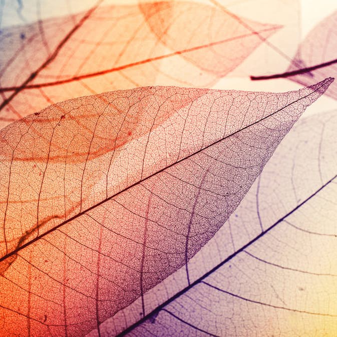 Fototapet Living Walls Designwalls DD118586