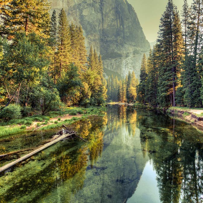 Fototapet Living Walls Designwalls DD118618