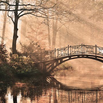 Fototapet Living Walls Designwalls DD118624