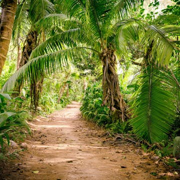 Fototapet Living Walls Designwalls DD118634