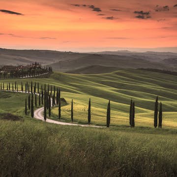 Fototapet Living Walls Designwalls DD118652