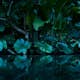 Fototapet Living Walls Designwalls DD118796