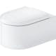 Toalettsits Duravit Millio