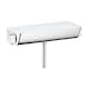 Duschblandare Hansgrohe Ecostat Select