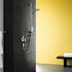 Duschset Hansgrohe Raindance Select S 150 3jet