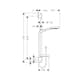 Duschset Hansgrohe Raindance Select S 120 3jet 65 cm