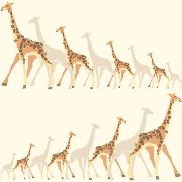 Tapet York Wallcoverings Dwell Studio Baby & Kids DW2361