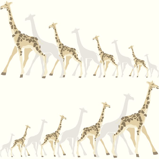 Tapet York Wallcoverings Dwell Studio Baby & Kids DW2362