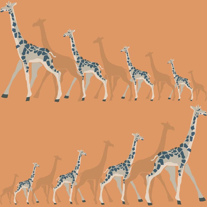 Tapet York Wallcoverings Dwell Studio Baby & Kids DW2363