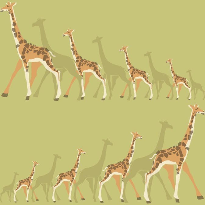 Tapet York Wallcoverings Dwell Studio Baby & Kids DW2364