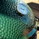 Kolgrill Big Green Egg MiniMax