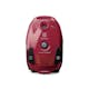 Dammsugare Electrolux PowerForce EPF61RR