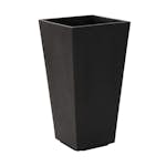 Blomkruka Recal Sonata