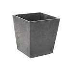 Blomkruka Recal Sonata