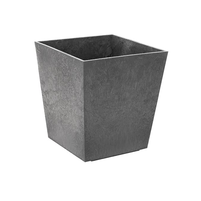 Blomkruka Recal Sonata