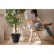 Blomkruka Recal Bariton