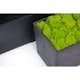 Blomkruka Recal Sonata Tapered