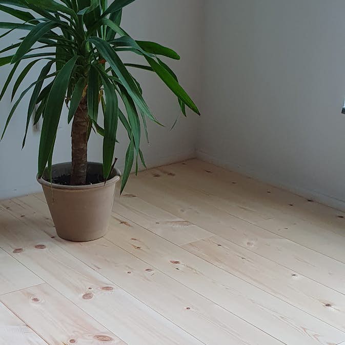 Massivt Trägolv Eden Wood Natur, Mattlackat 1-Stav Norrlandsfuru