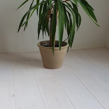 Massivt Trägolv Eden Wood Classic Vit, Mattlackat 1-Stav Norrlandsfuru