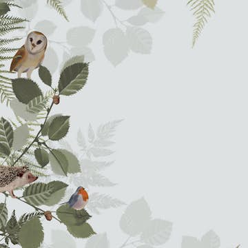 Fototapet ESTAhome Skogens Djur Grönt Och Brunt EW159049