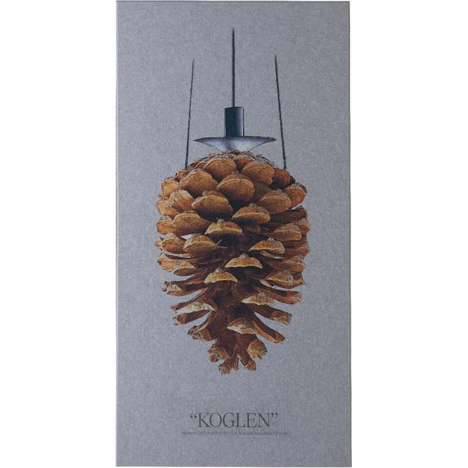 Akustiktavla Fibrotech Kotte 1200x600 mm