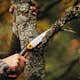 Trädgårdssåg Fiskars Fiskars Xtract SW73 S