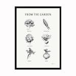 Poster Corkframes Poster From the Garden