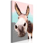 Tavla Arkiio Curious Donkey