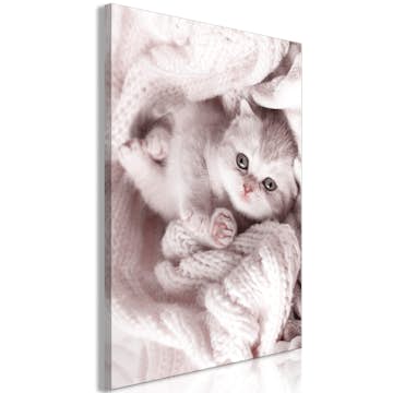 Tavla Arkiio Lover of Rest