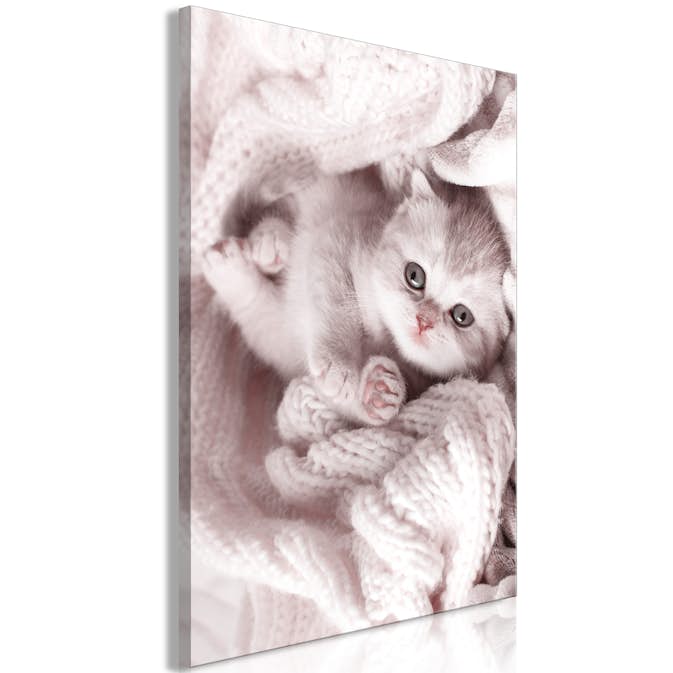 Tavla Arkiio Lover of Rest