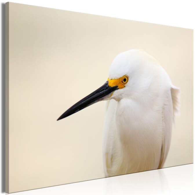 Tavla Arkiio Snowy Egret