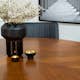 Matgrupp furniture/fashion Copenhagen med 6 Corina Stolar