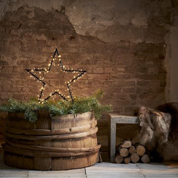 Utomhusdekoration Star Trading Spiky