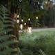 Ljusslinga Star Trading String Light Outdoor