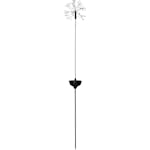 Solcellsdekoration Star Trading Dandelion Firework Twilight
