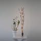 Dekorationskvist Star Trading Willow Dew Drop 24 LED