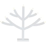 Adventsljusstake Star Trading Grene