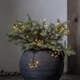 Ljusslinga Star Trading Dew Drop Flower
